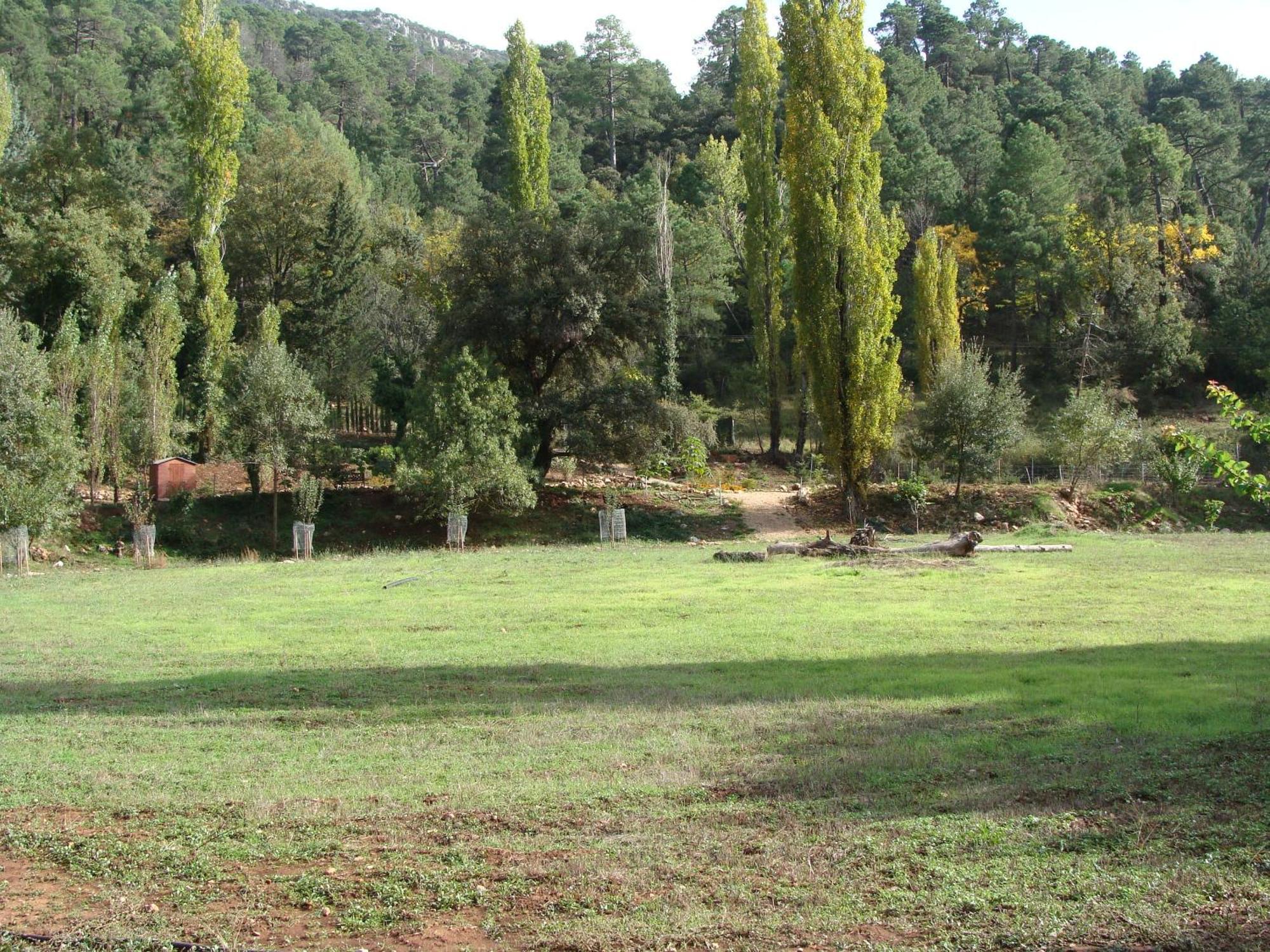 Apartment Rurales Navahondona Arroyo Frio