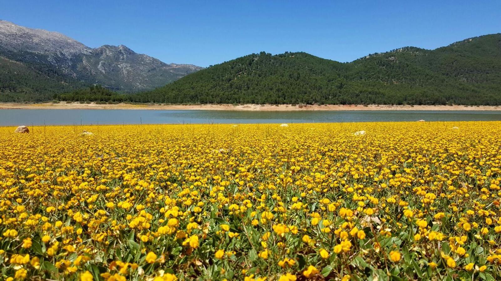 Rurales Navahondona Apartament Arroyo Frio